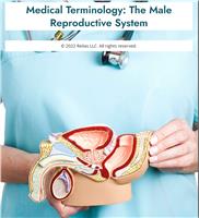 Medical Terminology: The Male Reproductive System