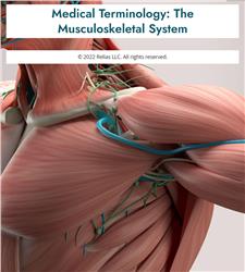 Medical Terminology: The Musculoskeletal System