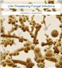 Life-Threatening Fungal Infections