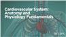 Cardiovascular System: Anatomy and Physiology Fundamentals